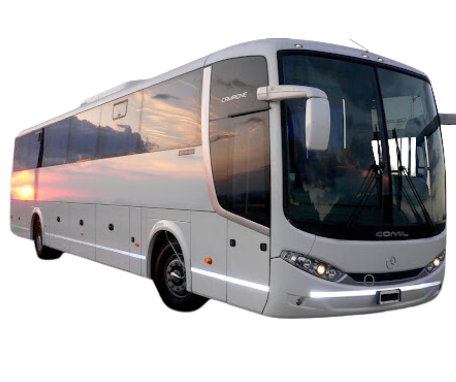Home 11 TRAVELVANS1 13